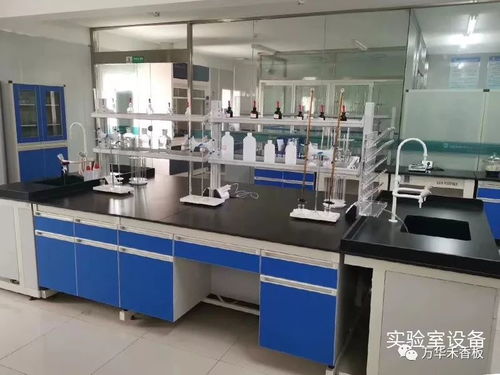 學習專業技能，提升服務水平，助力客戶2020再創新高